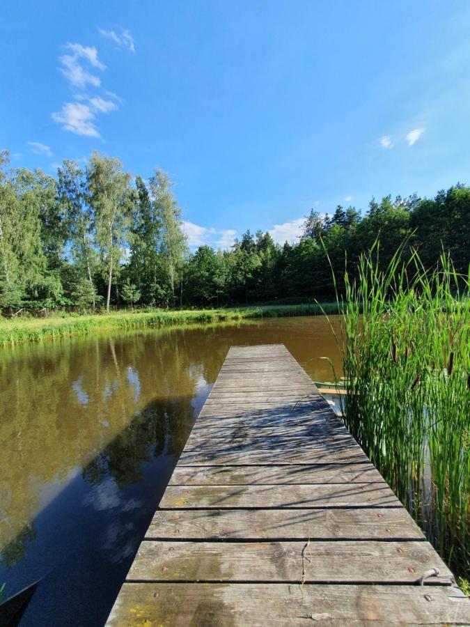 Agroturystyka Las I Woda Prazmow Экстерьер фото